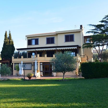Bed And Breakfast La Corte Degli Ulivi Civitavecchia Luaran gambar